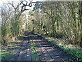 TM4682 : Muddy track through Frostenden Spring by Evelyn Simak