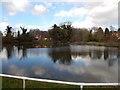 Pond, Polstead