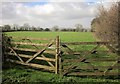 SX7458 : Gates near West Moore by Derek Harper