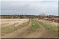 SK9548 : Farm Track off Caythorpe Heath Lane by J.Hannan-Briggs