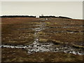 SD8041 : Wet Day on Pendle Hill by Chris Heaton