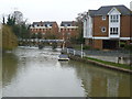 River Mole flowing into the River Ember