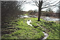 Flooded Footpath to St Helena Island