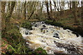 Lady Burn, Glenluce