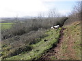 Footpath to Webbington