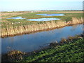 TL5567 : New wetlands near Reach Bridge and Lode by Richard Humphrey