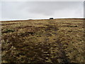 SD7941 : Approaching Stone Shelter on Pendle Hill by Chris Heaton