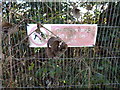 No playing on Japanese Knotweed site, Polstead Heath