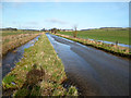 The Aldbourne near North Field Barn 3