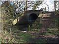 Disused railway bridge