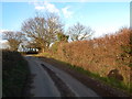 Heath Road looking towards Polstead Heath