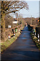 Alma Lane as it approaches Lower Upham