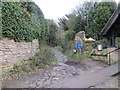 Sunken lane, Clive