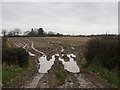 SJ5552 : Muddy field, Croxton Green by Richard Webb