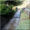 Angiddy about 650 metres from the Wye in Tintern