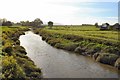 The River Adur passing Eatons Farm