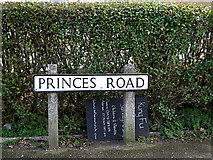 TM3488 : Princes Road sign by Geographer