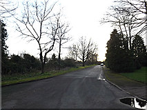 TM3388 : Woodland Drive, Bungay by Geographer