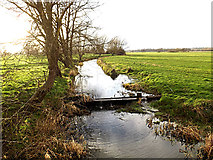 TM3691 : New Dyke off Mill Pool Lane by Geographer