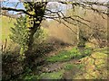 Stream south of Larcombe