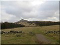 NO2206 : View towards Falkland Hill by Richard Webb