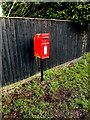 TM3691 : Ellingham Mill Postbox by Geographer