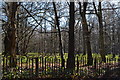 View into woodland near Owlshatch