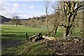 SO5817 : Farmland in the Wye Valley by Stuart Wilding