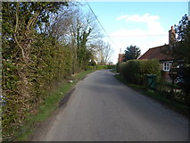 TL9443 : Road at The Grove, Priory Green by Hamish Griffin