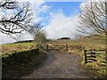 Forestry access, West Tullyfergus