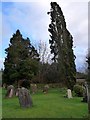 Saint Mary Magdalene , Rusper: churchyard (f)