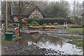 Reflection in Floodwater, Trent Park, Cockfosters, Hertfordshire