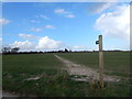 Footpath to Priory Green