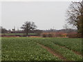 Watsons Corner Water Tower, Bower House Tye and St Bartholomew