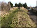 Leadgate Maze viewing platform