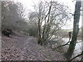 Footpath beside the River Derwent at The Cliff