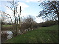 River Derwent north of Bank House