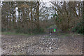 Footpath entering Stoke Park Wood