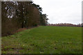 Field northeast of Bishopstoke Cemetery