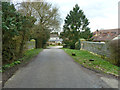 Bridge over former railway, Cold Norton