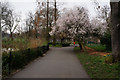 Clissold Park, Stoke Newington