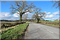 Road to Castle Douglas near Carse