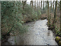 The Afon Garw/River Garw at Bryngarw Country Park