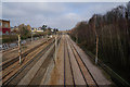 Train lines towards Stroud Green