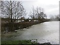 Floods, Newtown