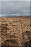 NR4351 : Faint moorland track between Leac EÃ¬dhne and An DÃ¹n, Islay by Becky Williamson