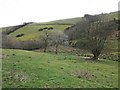 Rolling pasture land, south of Week Lane