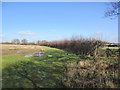 Path near Blonks Farm