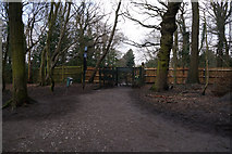 TQ2889 : Capital Ring in Highgate Wood by Ian S