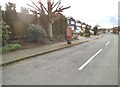 Sunningdale Road Postbox 